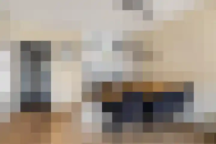 Zwanenkamp 1260 Maarssen thumbnail 10