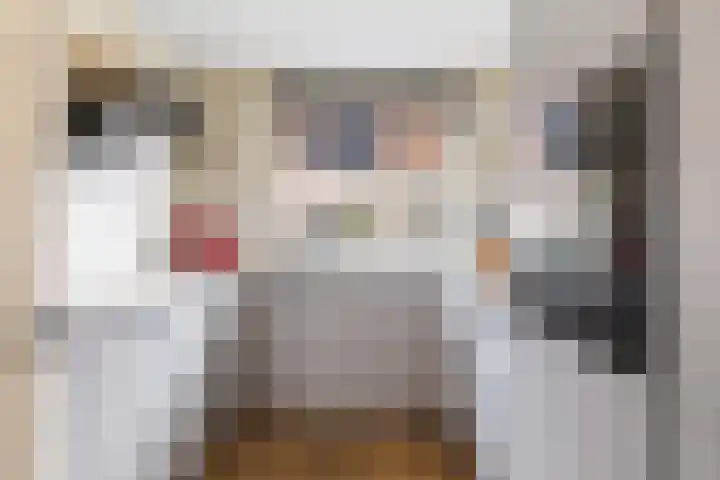 Zwanenkamp 1260 Maarssen thumbnail 11