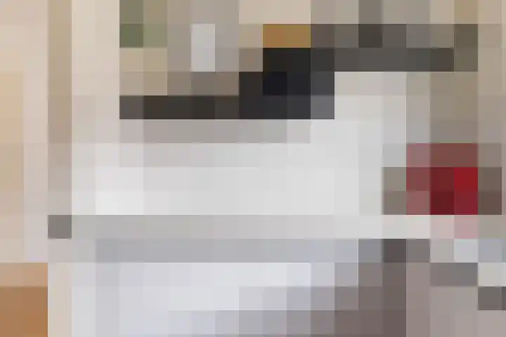 Zwanenkamp 1260 Maarssen thumbnail 12