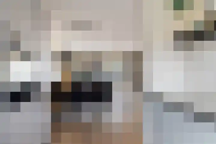 Zwanenkamp 1260 Maarssen thumbnail 14
