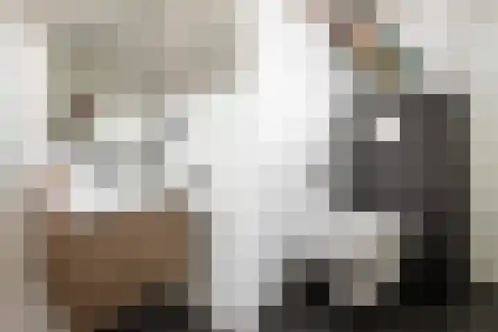 Zwanenkamp 1260 Maarssen thumbnail 24