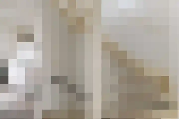 Zwanenkamp 1260 Maarssen thumbnail 29