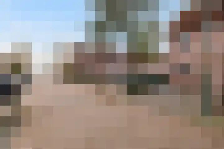 Zwanenkamp 1260 Maarssen thumbnail 37