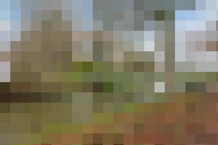 Zwanenkamp 1260 Maarssen thumbnail 38