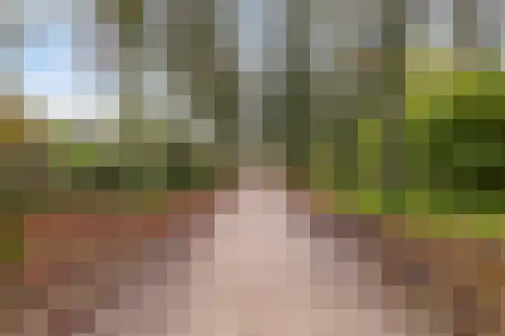 Zwanenkamp 1260 Maarssen thumbnail 39