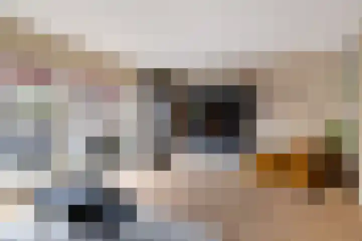 Zwanenkamp 1260 Maarssen thumbnail 7