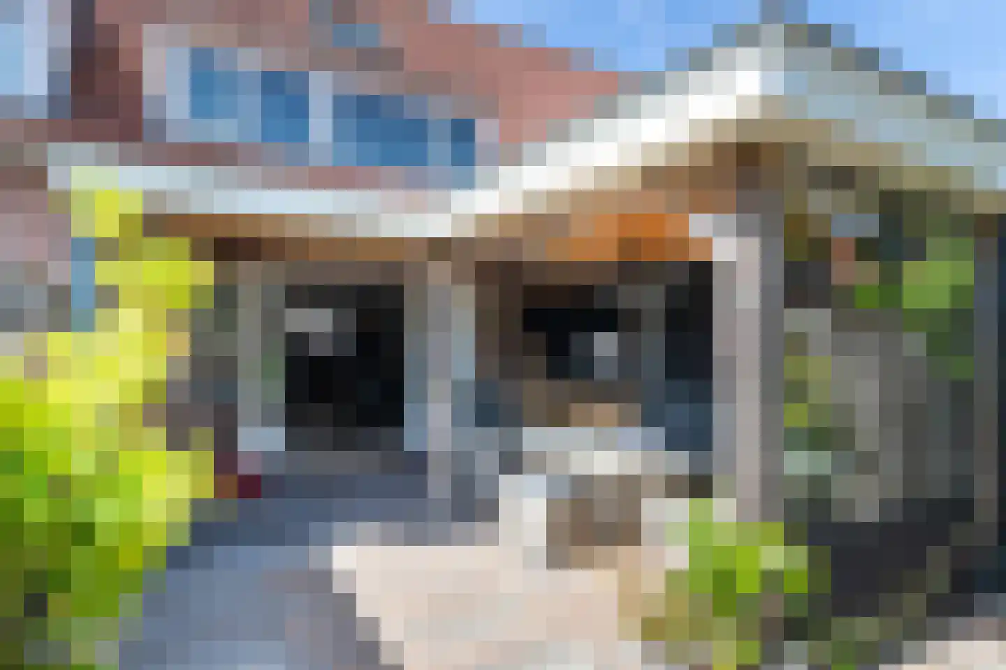 Zwanenkamp 1265 Maarssen thumbnail 11