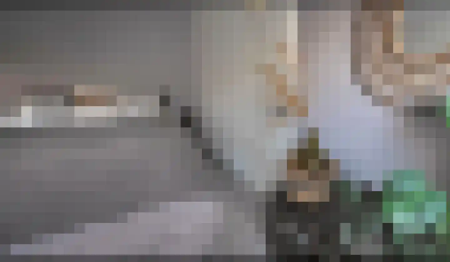 Zwanenkamp 1265 Maarssen thumbnail 15
