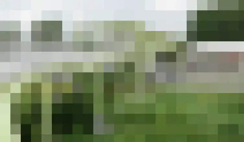 Zwanenkamp 1265 Maarssen thumbnail 30