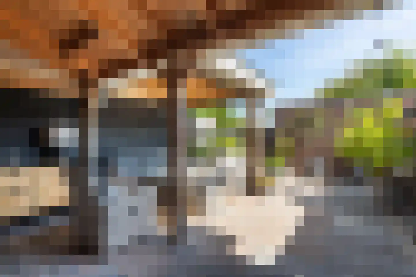 Zwanenkamp 1265 Maarssen thumbnail 9