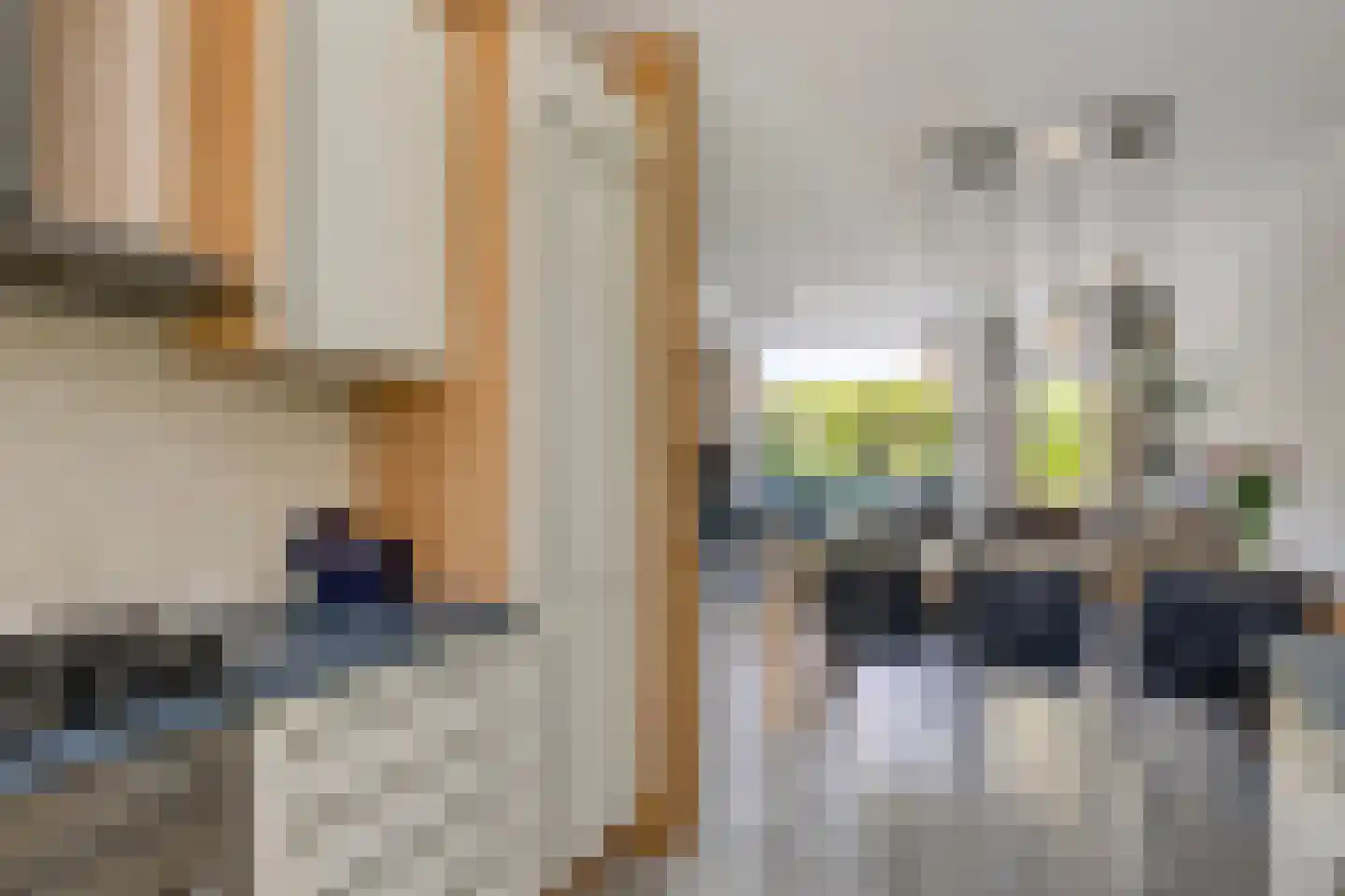 Zwanenkamp 259 Maarssen thumbnail 12