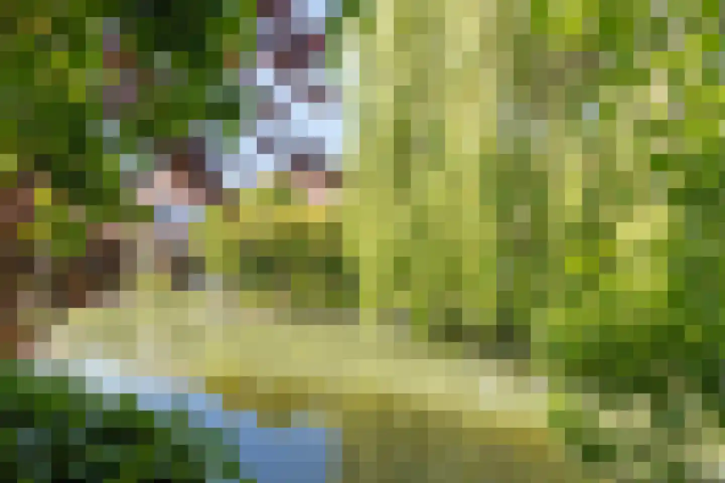 Zwanenkamp 259 Maarssen thumbnail 25