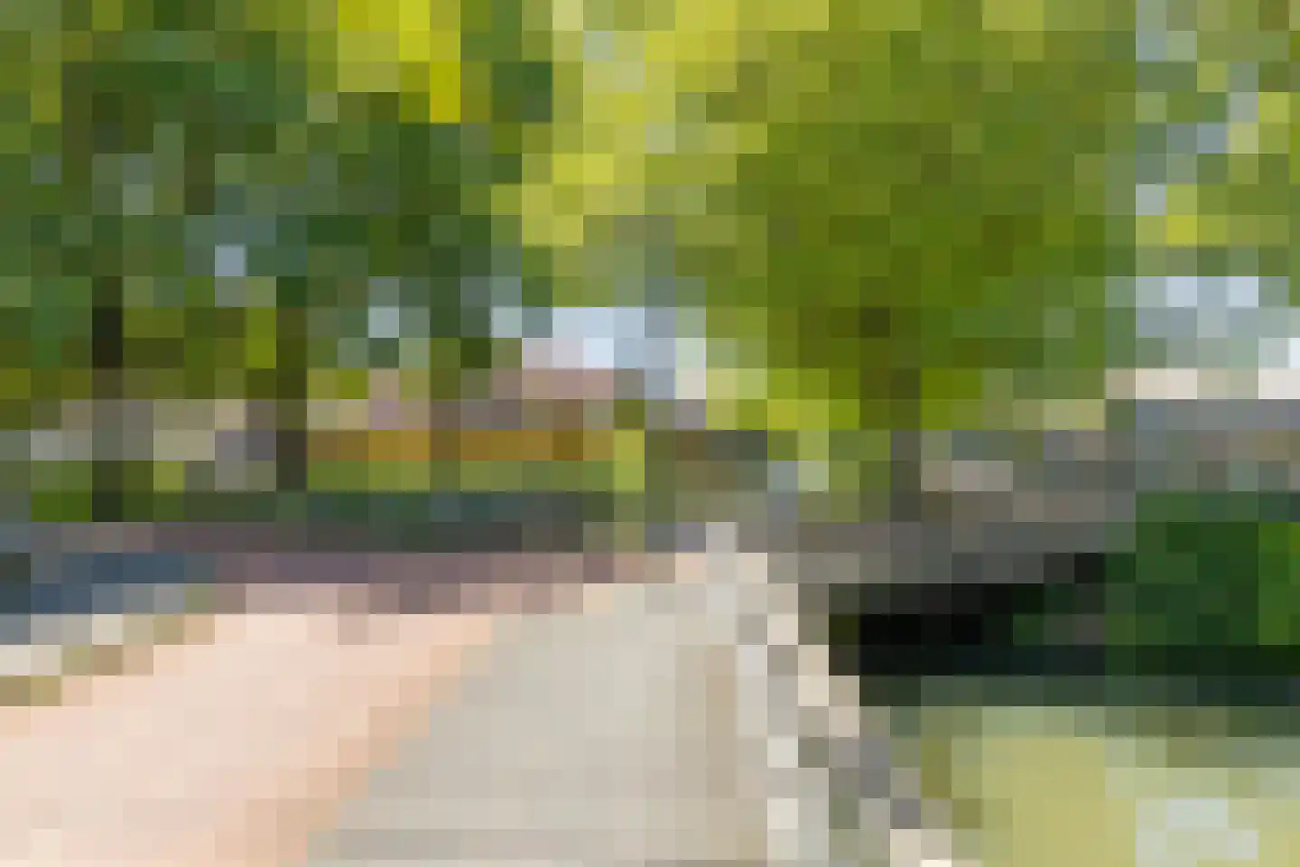 Zwanenkamp 259 Maarssen thumbnail 31