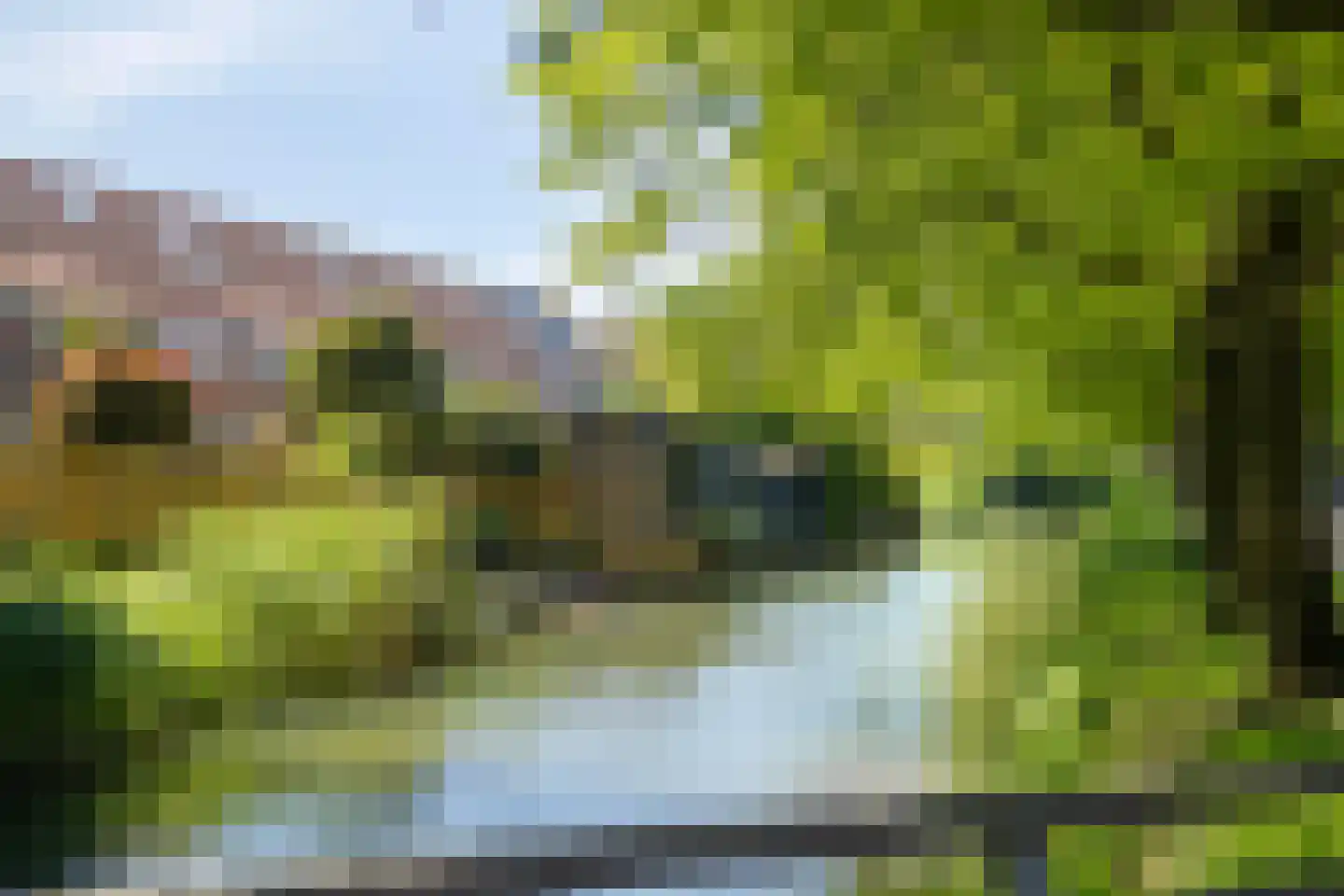 Zwanenkamp 259 Maarssen thumbnail 32