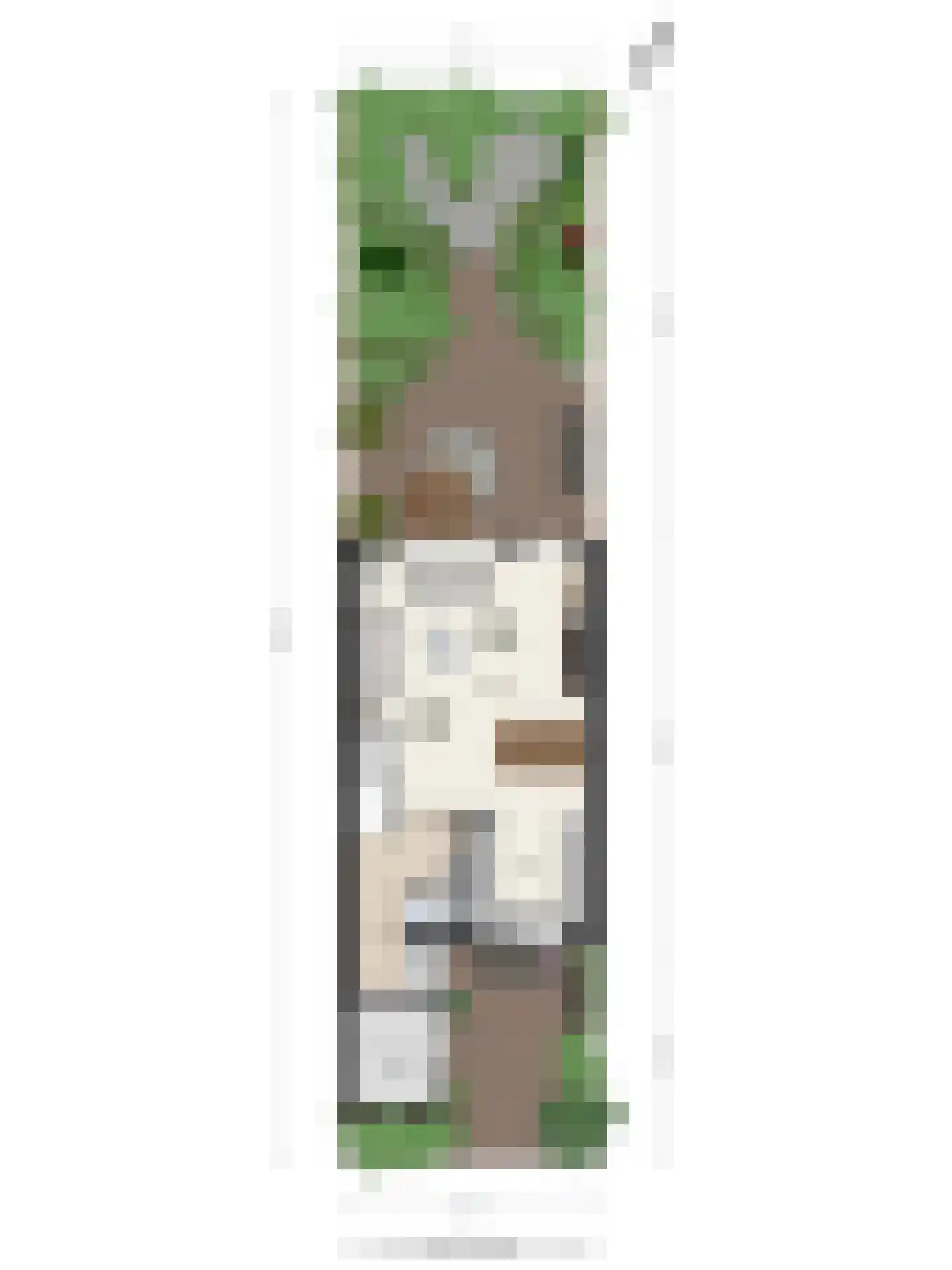 Zwanenkamp 259 Maarssen thumbnail 37
