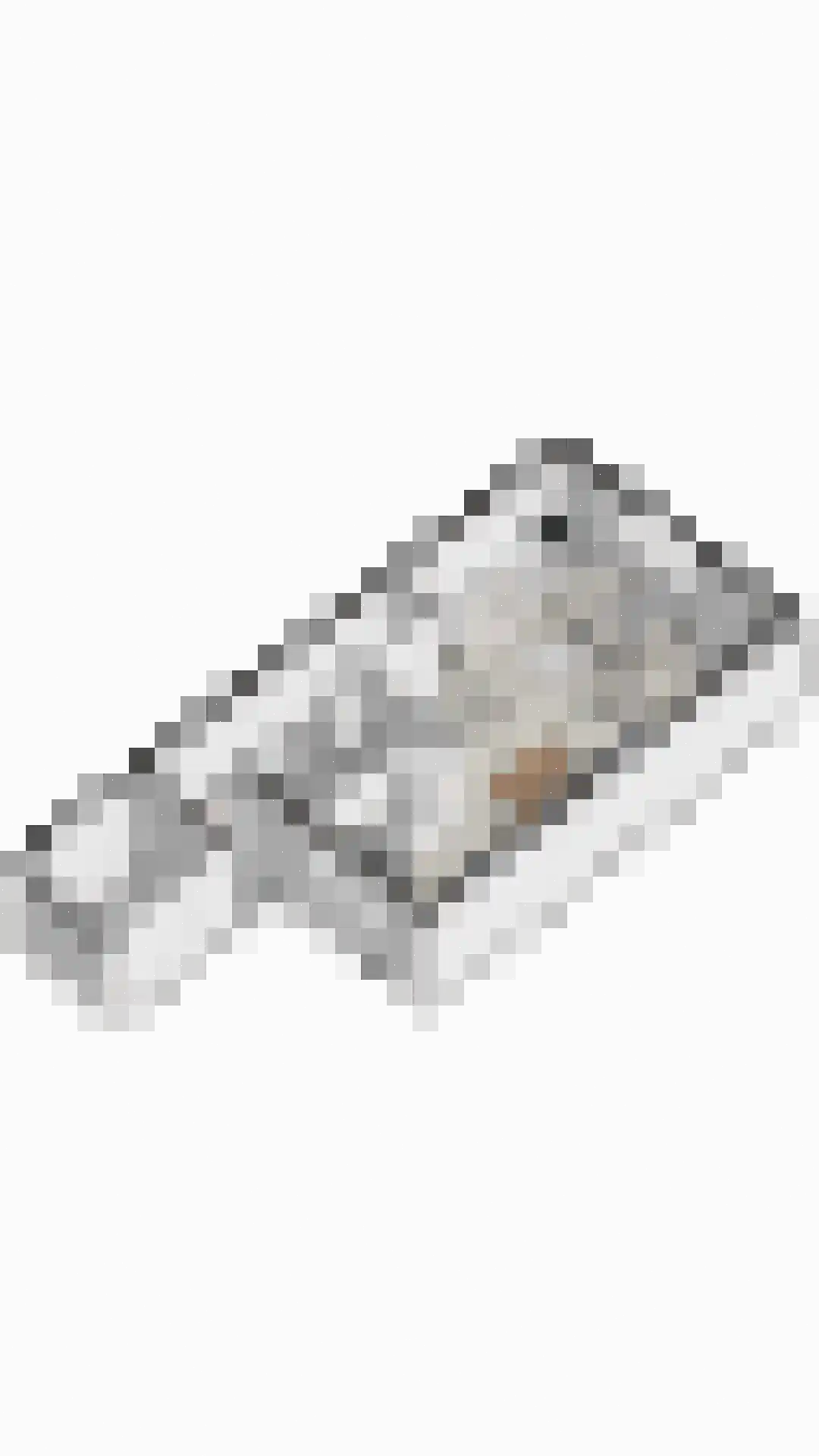 Zwanenkamp 259 Maarssen thumbnail 38
