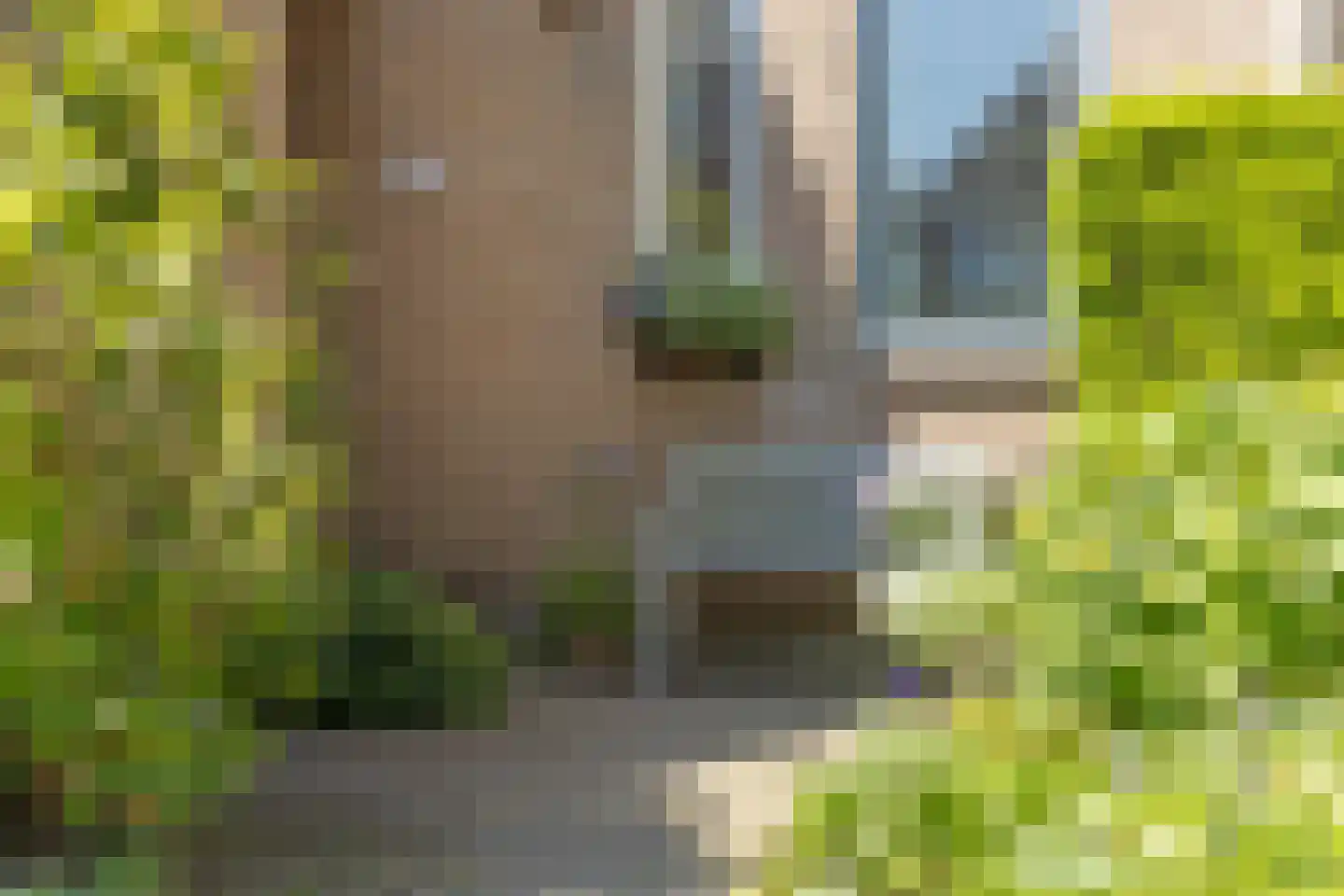 Zwanenkamp 259 Maarssen thumbnail 4