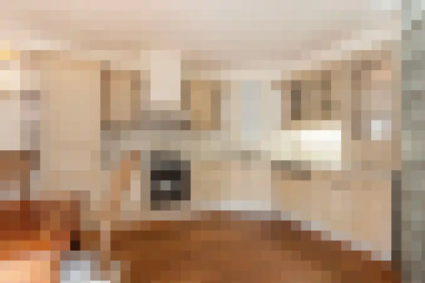 Zwanenkamp 3 Maarssen thumbnail 9