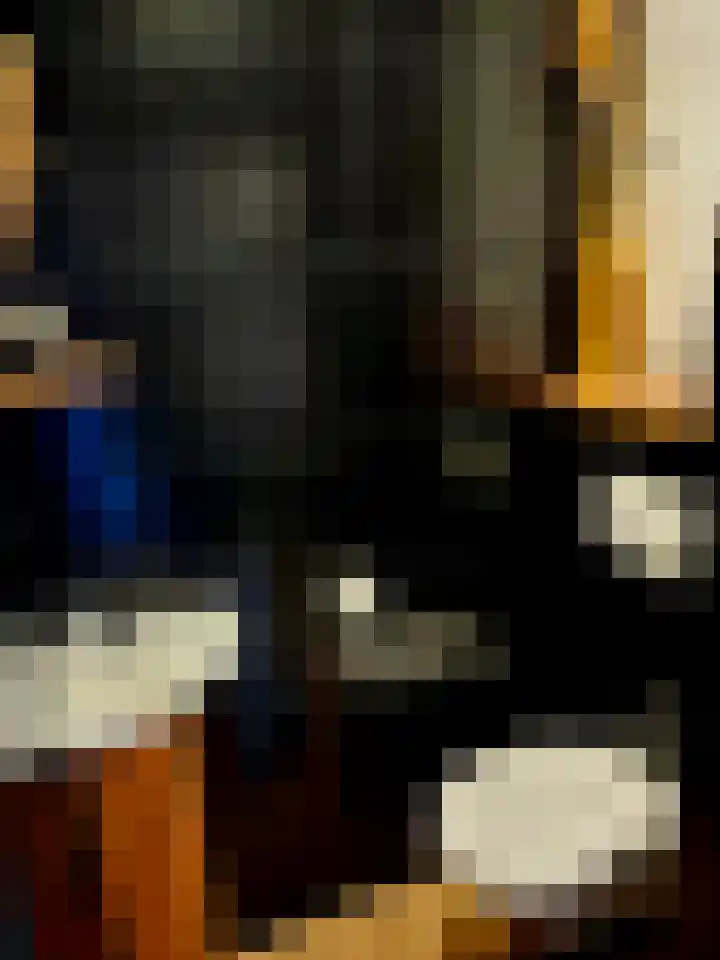 Zwanenkamp 386 Maarssen thumbnail 11