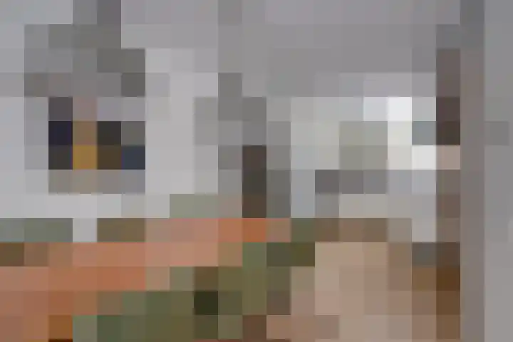 Zwanenkamp 386 Maarssen thumbnail 12