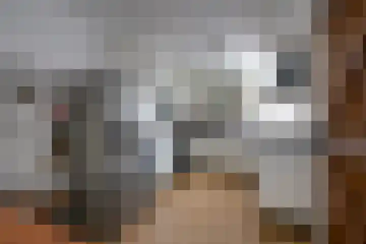 Zwanenkamp 386 Maarssen thumbnail 13