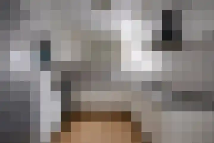 Zwanenkamp 386 Maarssen thumbnail 14