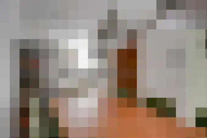 Zwanenkamp 386 Maarssen thumbnail 15