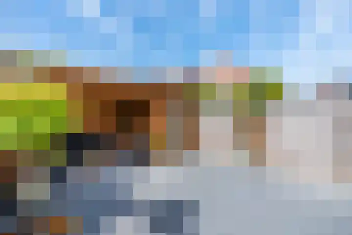 Zwanenkamp 386 Maarssen thumbnail 24