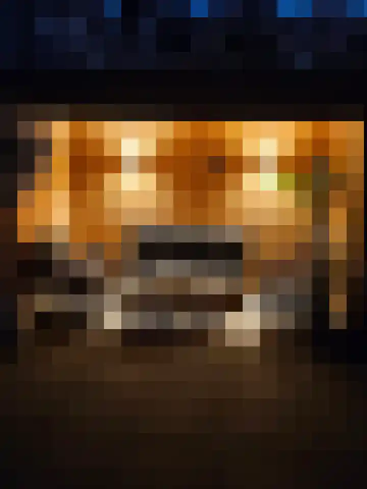 Zwanenkamp 386 Maarssen thumbnail 26