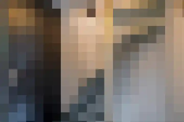Zwanenkamp 386 Maarssen thumbnail 37