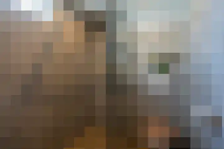 Zwanenkamp 386 Maarssen thumbnail 38