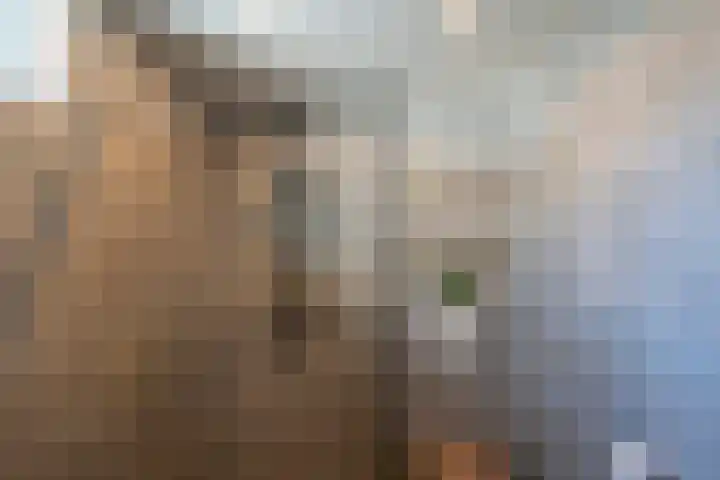Zwanenkamp 386 Maarssen thumbnail 41