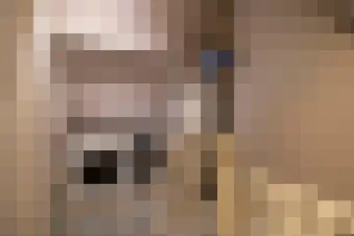 Zwanenkamp 386 Maarssen thumbnail 42