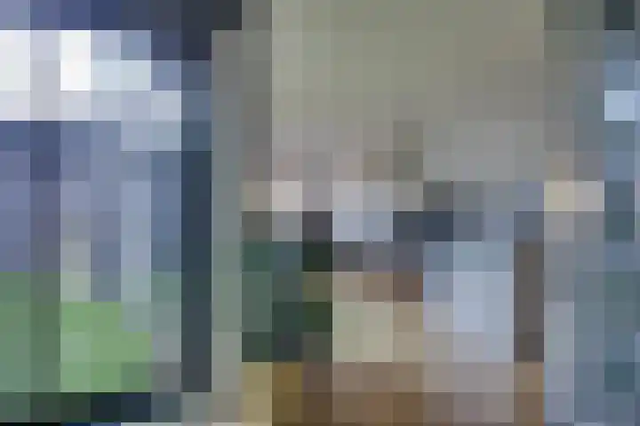 Zwanenkamp 39 Maarssen thumbnail 12