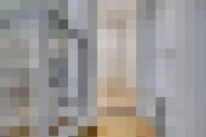 Zwanenkamp 39 Maarssen thumbnail 13