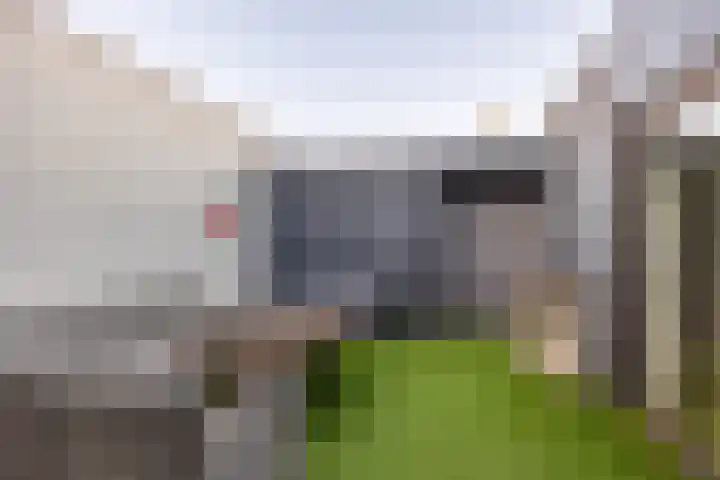 Zwanenkamp 39 Maarssen thumbnail 20