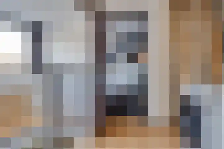 Zwanenkamp 39 Maarssen thumbnail 26