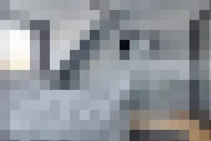 Zwanenkamp 39 Maarssen thumbnail 27