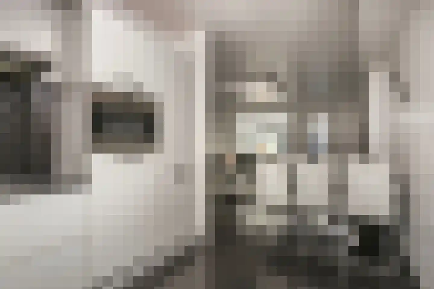 Zwanenkamp 578 Maarssen thumbnail 11