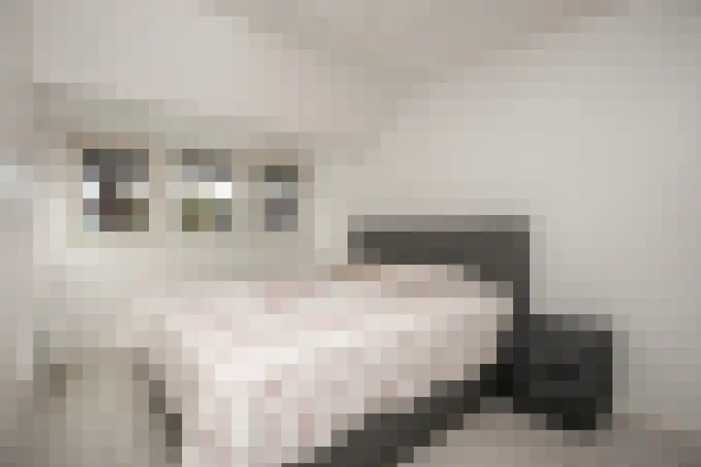 Zwanenkamp 578 Maarssen thumbnail 14