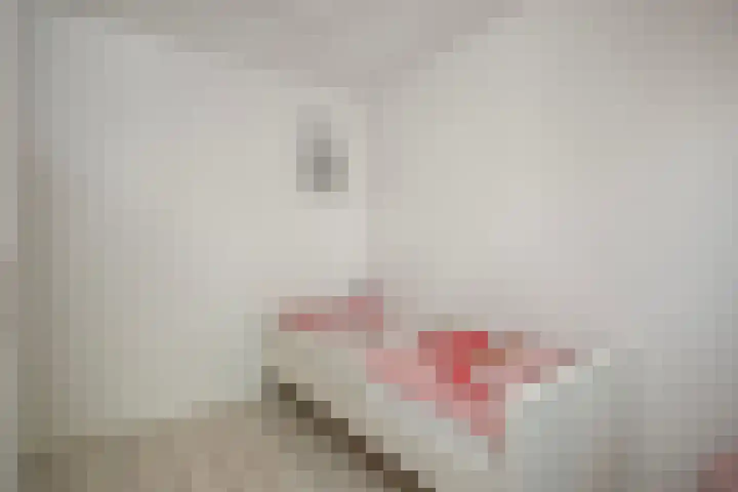 Zwanenkamp 578 Maarssen thumbnail 17