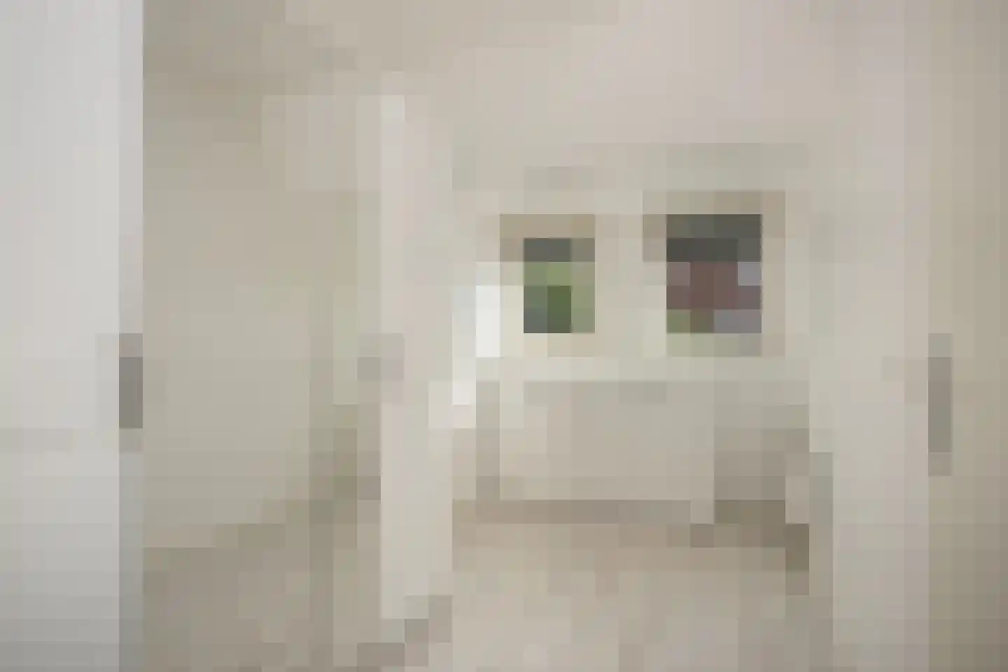Zwanenkamp 578 Maarssen thumbnail 18