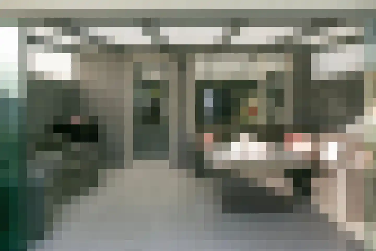 Zwanenkamp 578 Maarssen thumbnail 27