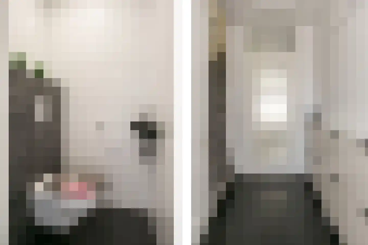 Zwanenkamp 578 Maarssen thumbnail 4