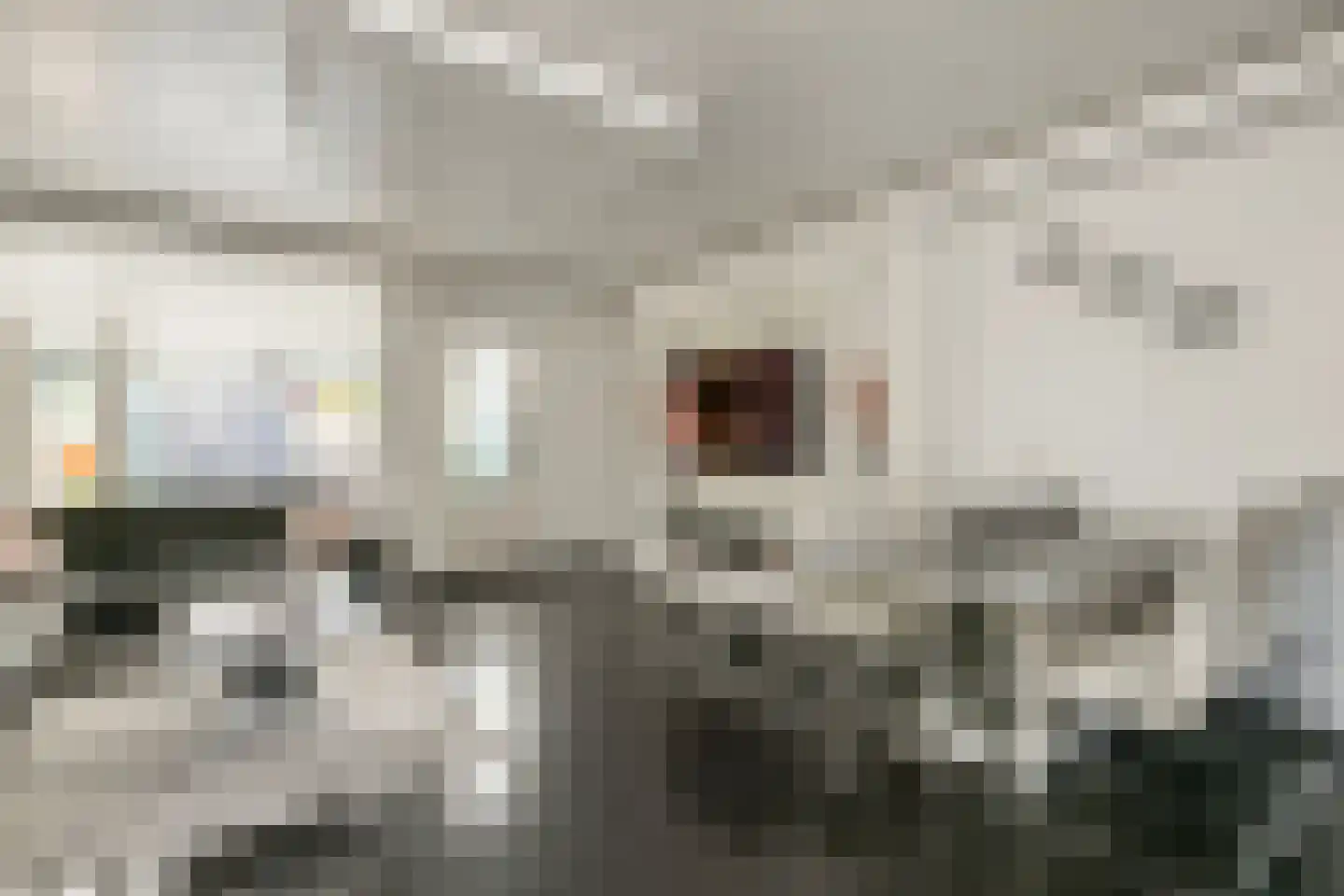Zwanenkamp 578 Maarssen thumbnail 5