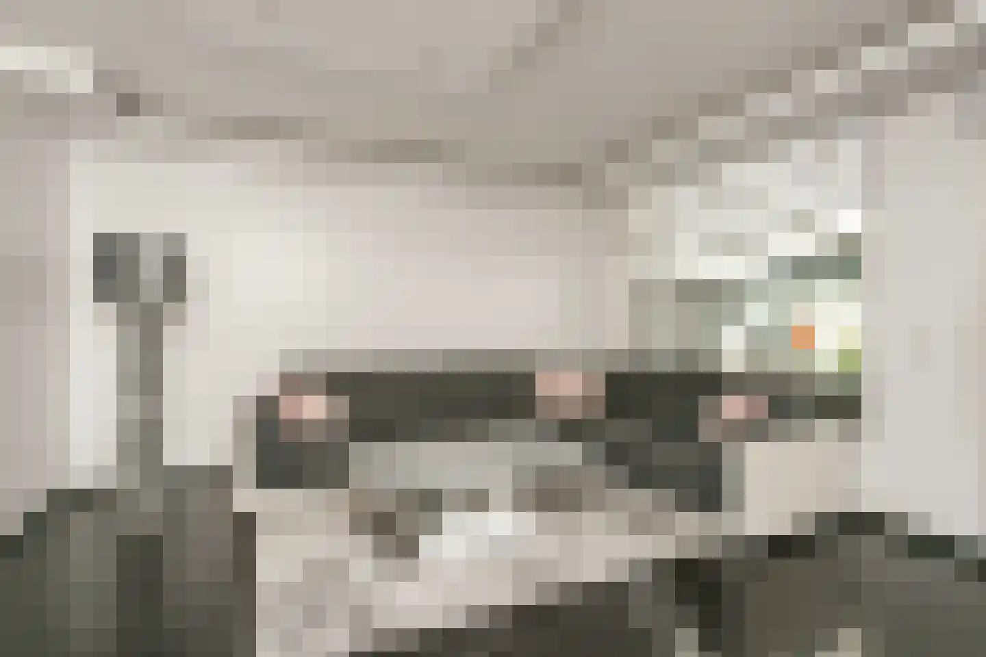 Zwanenkamp 578 Maarssen thumbnail 6