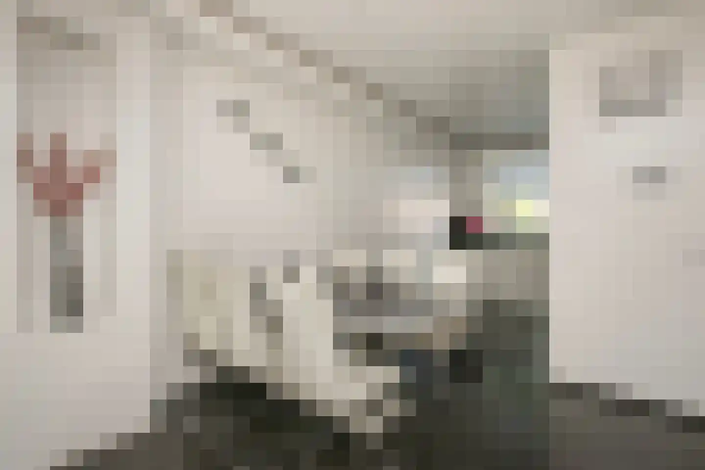 Zwanenkamp 578 Maarssen thumbnail 9