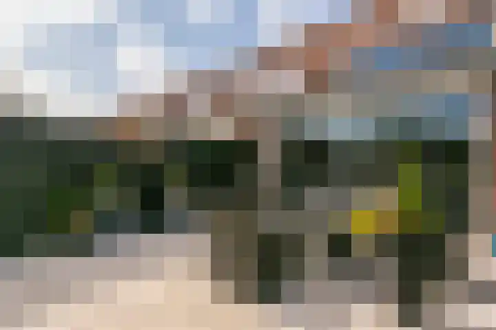 Zwanenkamp 587 Maarssen thumbnail 23