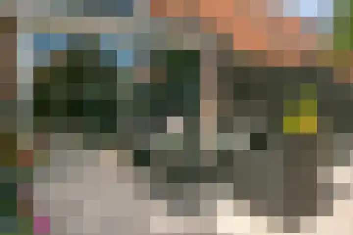 Zwanenkamp 587 Maarssen thumbnail 24