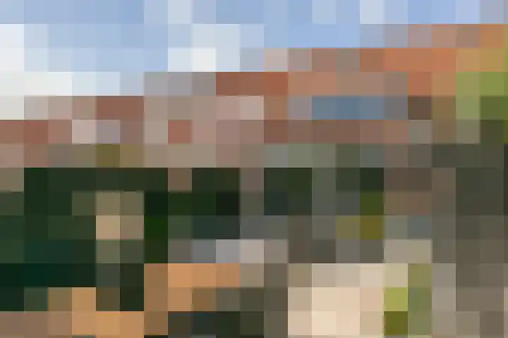 Zwanenkamp 587 Maarssen thumbnail 25
